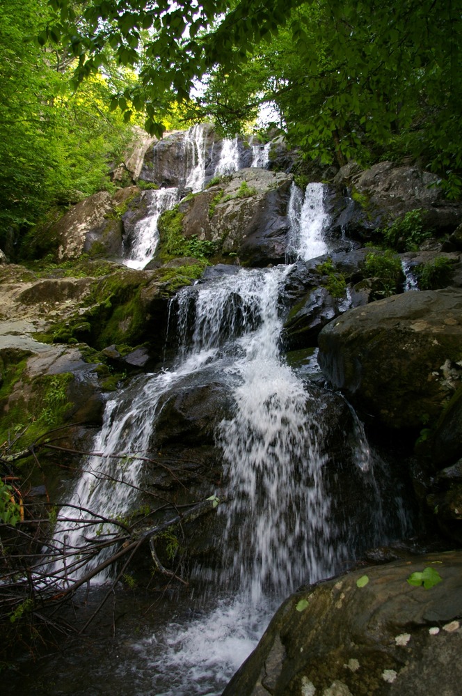 Dark Hollow Falls in Shenandoah National Park. Mile 50.7 on Skyline Drive (Credit: National Park Service)