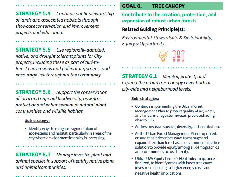 A section of the Charlottesville Comprehensive plan